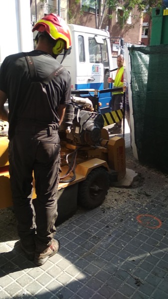 Destoconado de los &aacute;rboles en Badalona