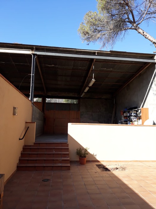 Cortar pino en Martorell