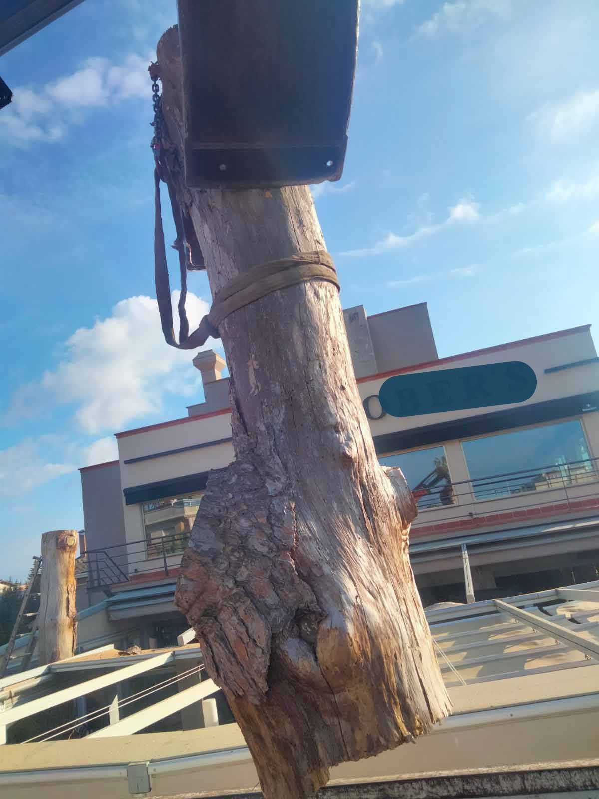 Cortar árbol con sierra y pinza en Castelldefels